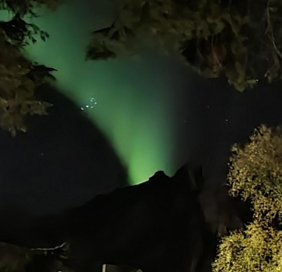 Innholdsrik Og Koselig Leilighet I Svolvaer Lofoten Zewnętrze zdjęcie